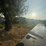Carpe Diem - Sur